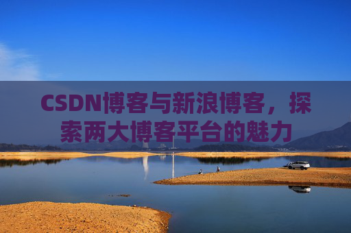CSDN博客与新浪博客，探索两大博客平台的魅力
